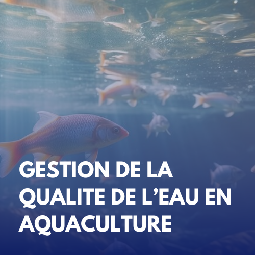 Qualité de l’Eau dans la Culture Aquacole